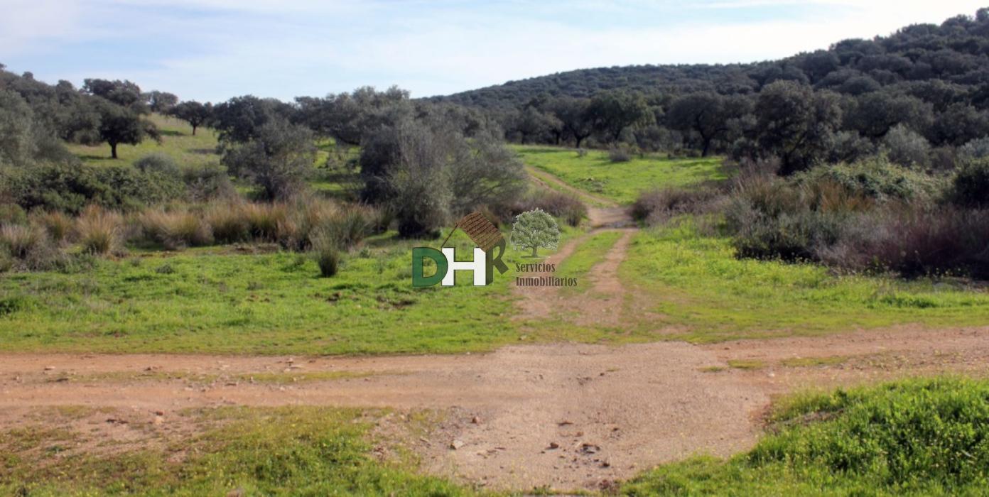 Venta de terreno en Badajoz