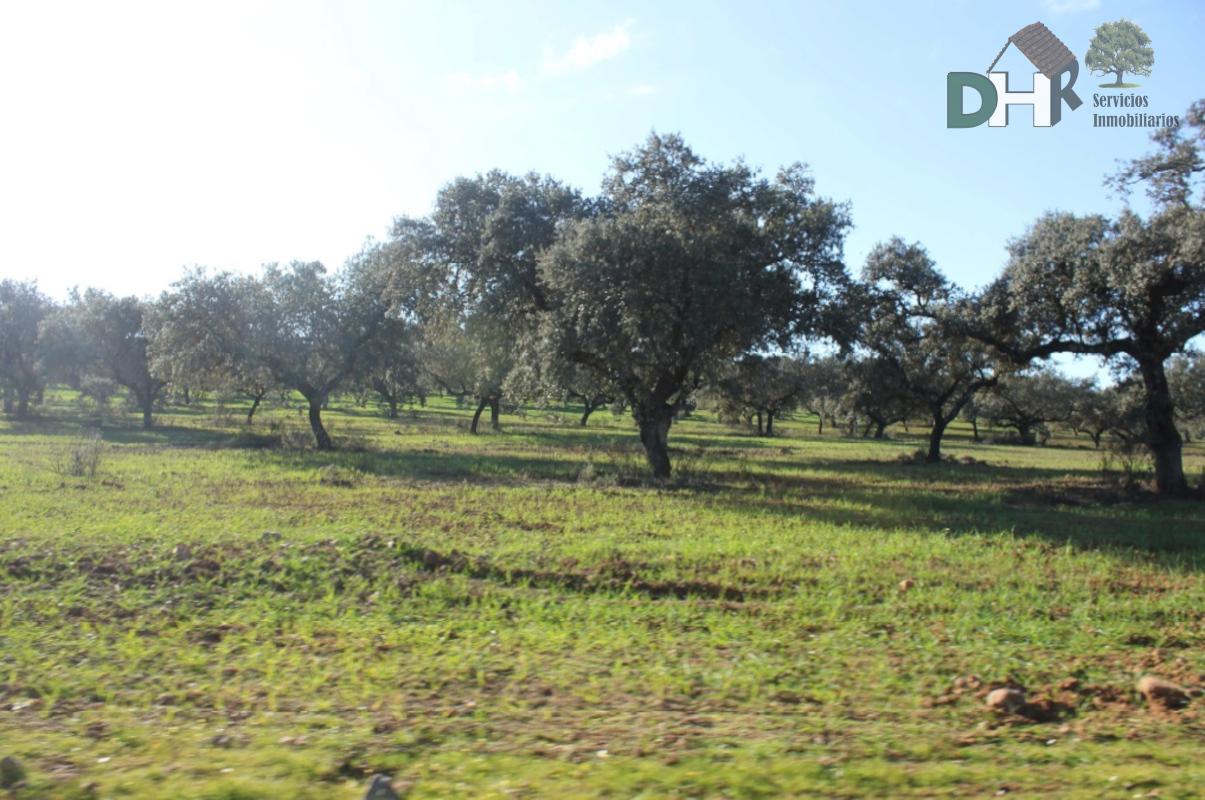 Venta de terreno en Badajoz