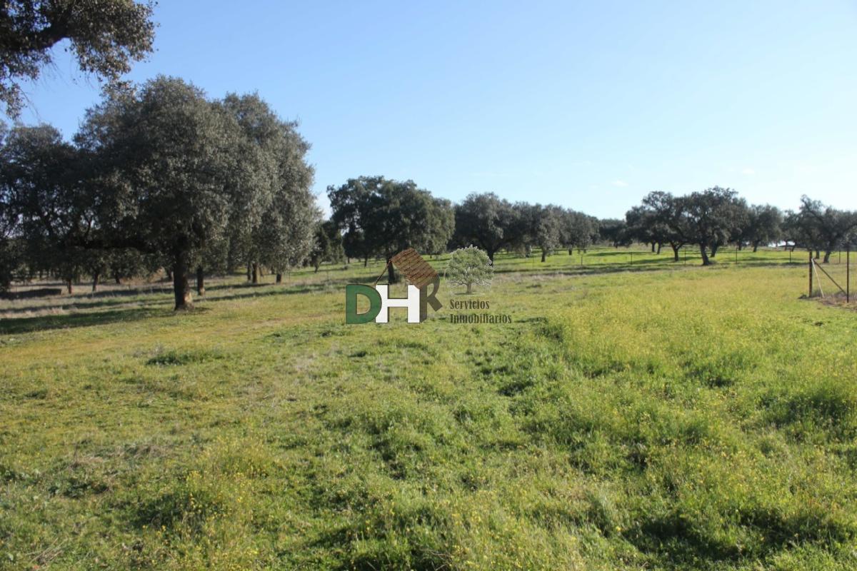 Venta de terreno en Badajoz