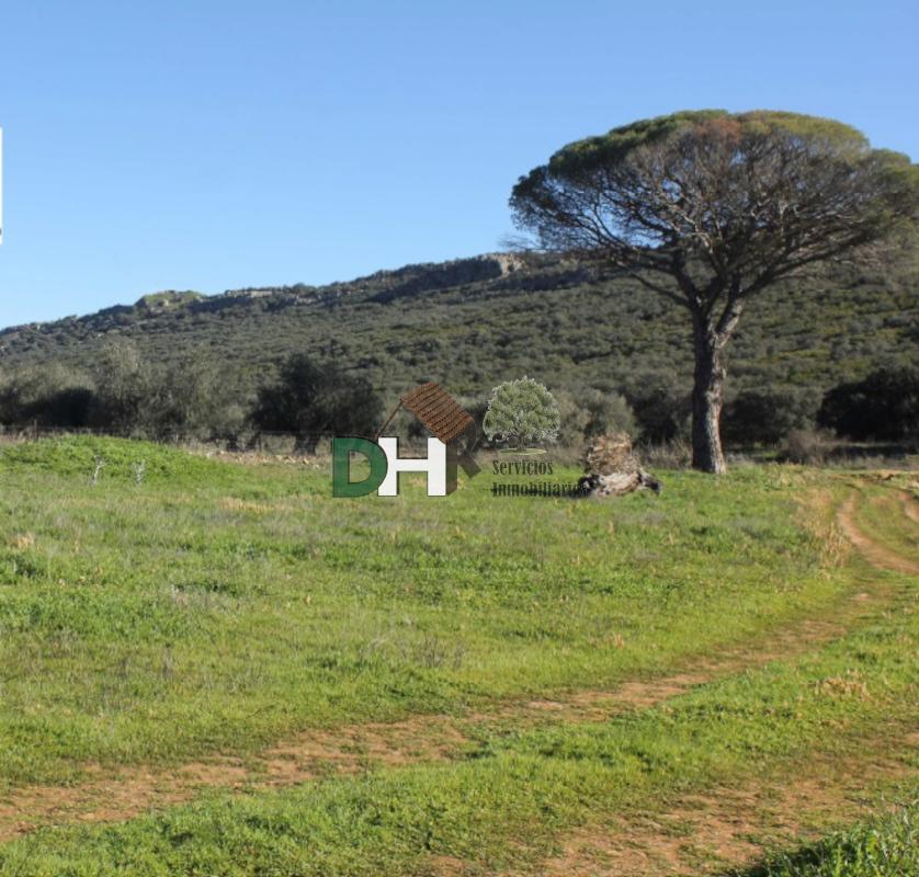 For sale of land in Ciudad Real