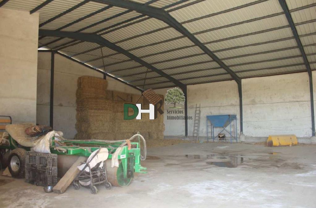 For sale of land in Toledo