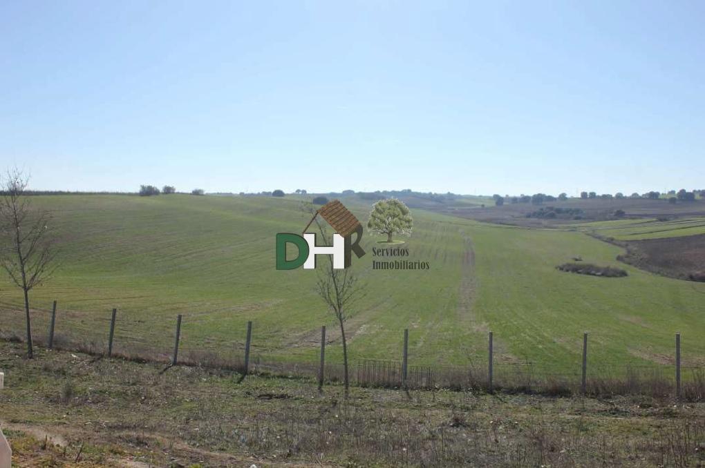 For sale of land in Toledo