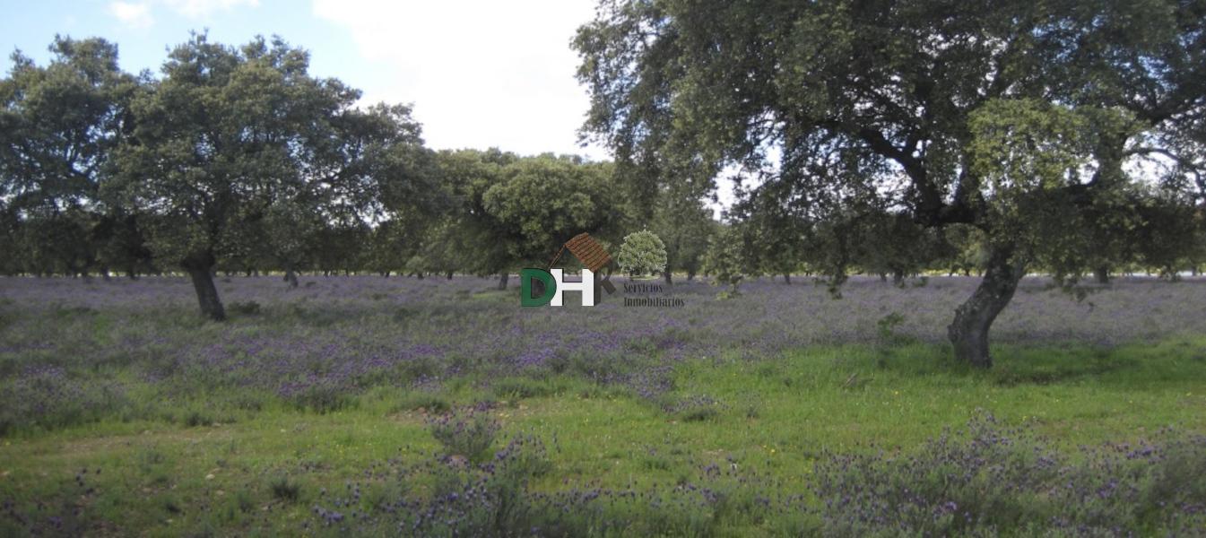 Venta de terreno en Cáceres