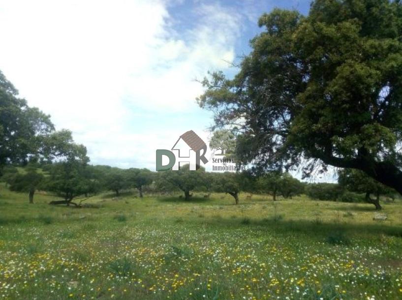Venta de terreno en Cáceres
