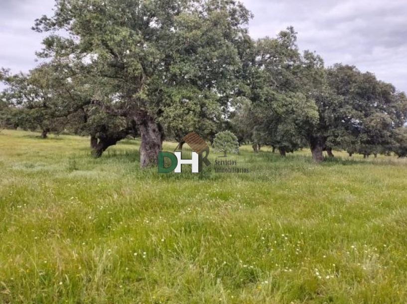 Venta de terreno en Cáceres
