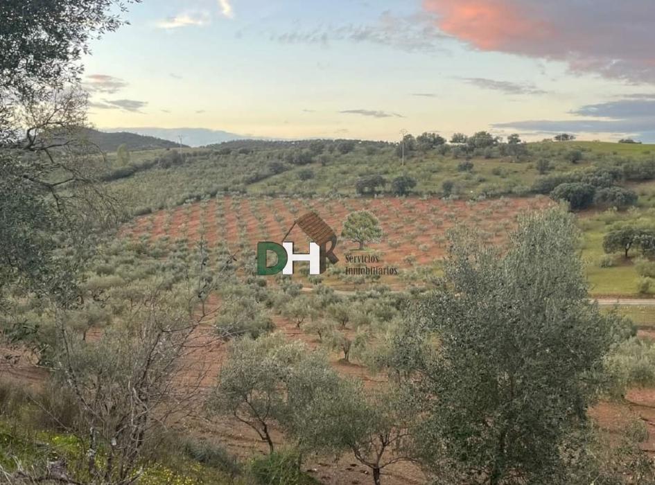 Venta de terreno en Villar del Rey