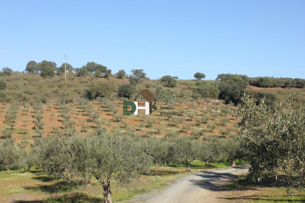 Venta de terreno en Villar del Rey