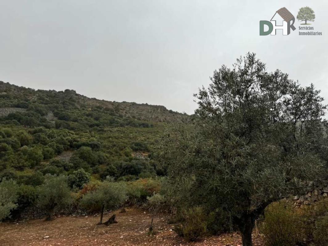 For sale of land in Badajoz