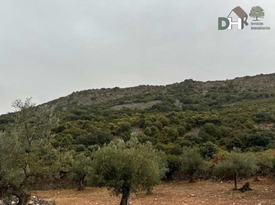 Venta de terreno en Badajoz