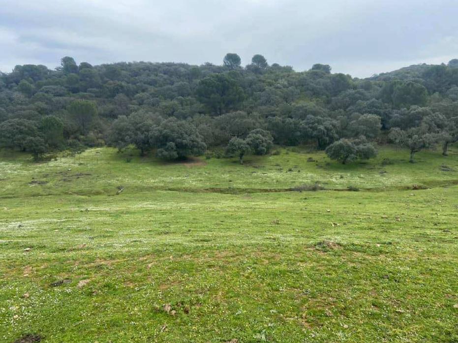 For sale of land in Córdoba