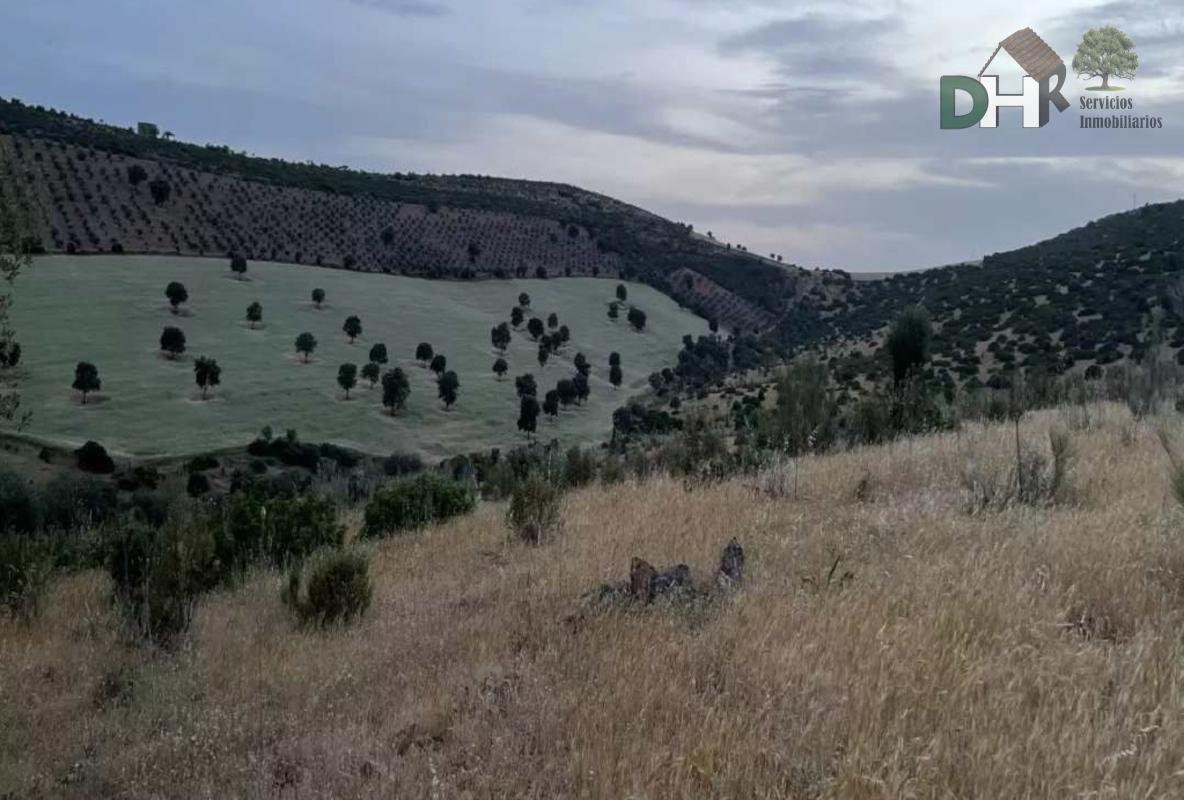 Venta de terreno en Ciudad Real