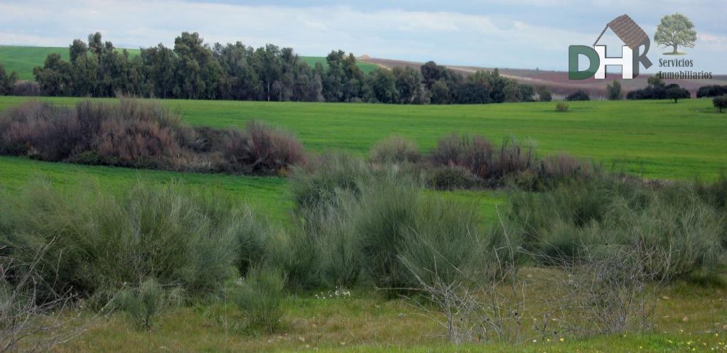 For sale of land in Badajoz