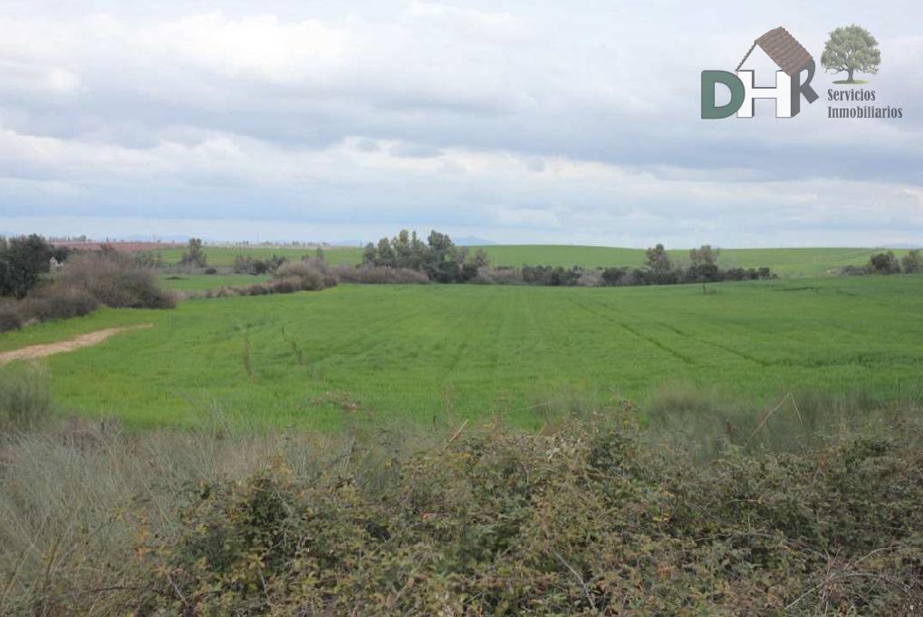 For sale of land in Badajoz
