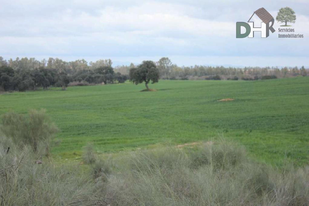 For sale of land in Badajoz