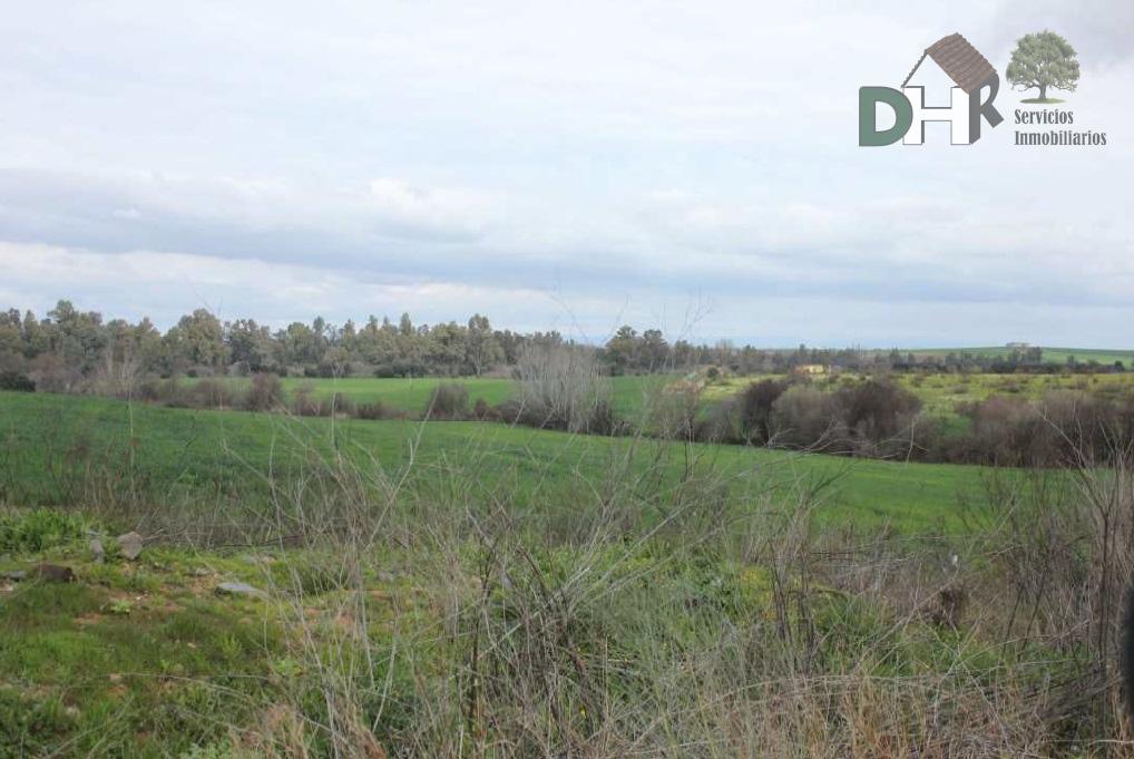 For sale of land in Badajoz