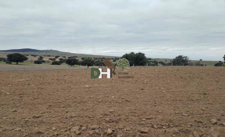 For sale of land in Ávila