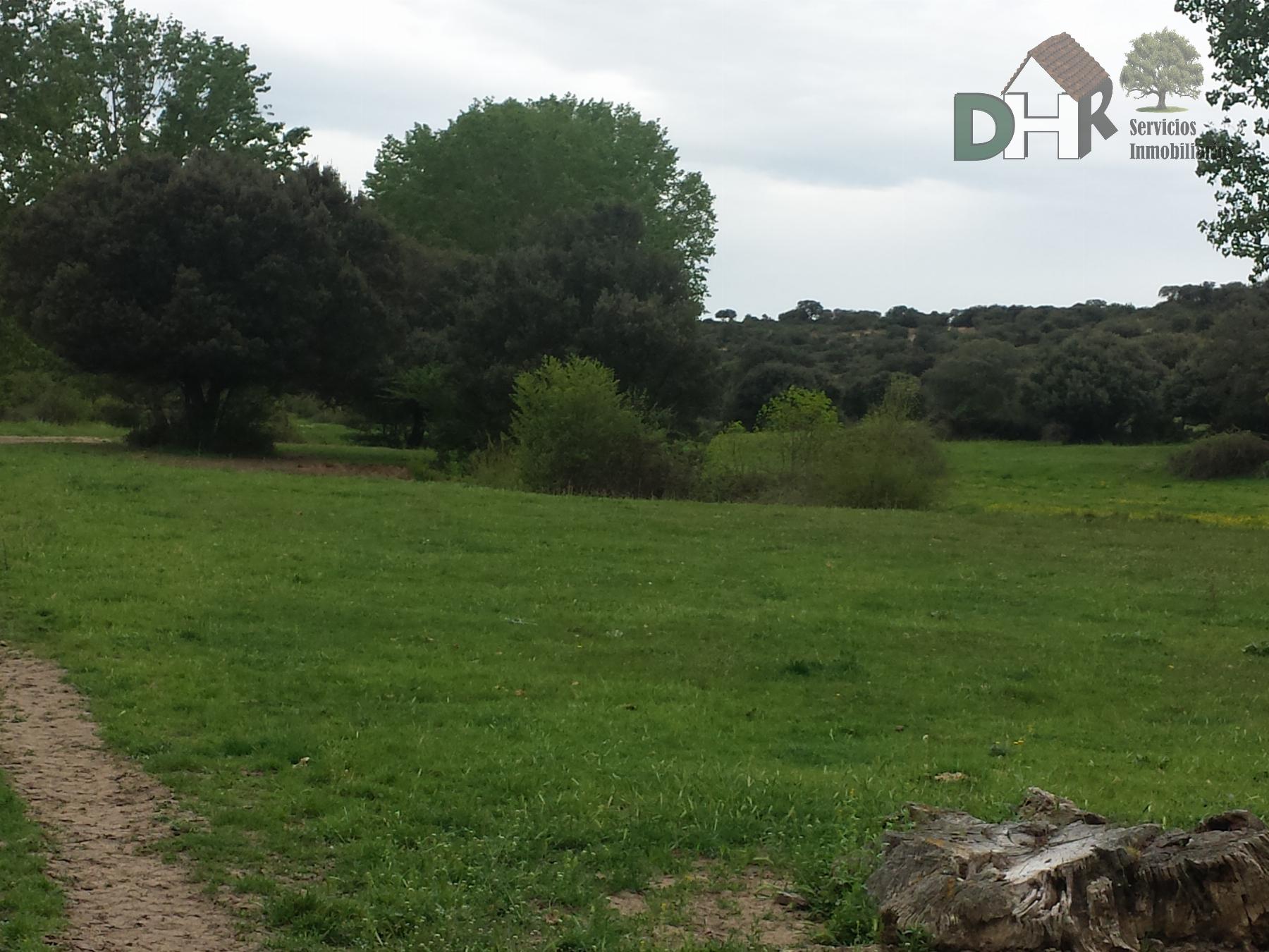 For sale of land in Ávila