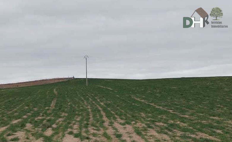 For sale of land in Ávila