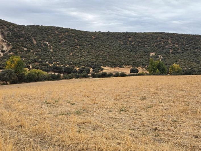 For sale of land in Ávila