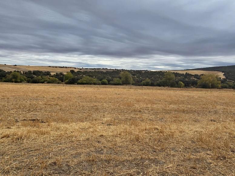 For sale of land in Ávila