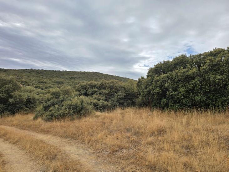 For sale of land in Ávila
