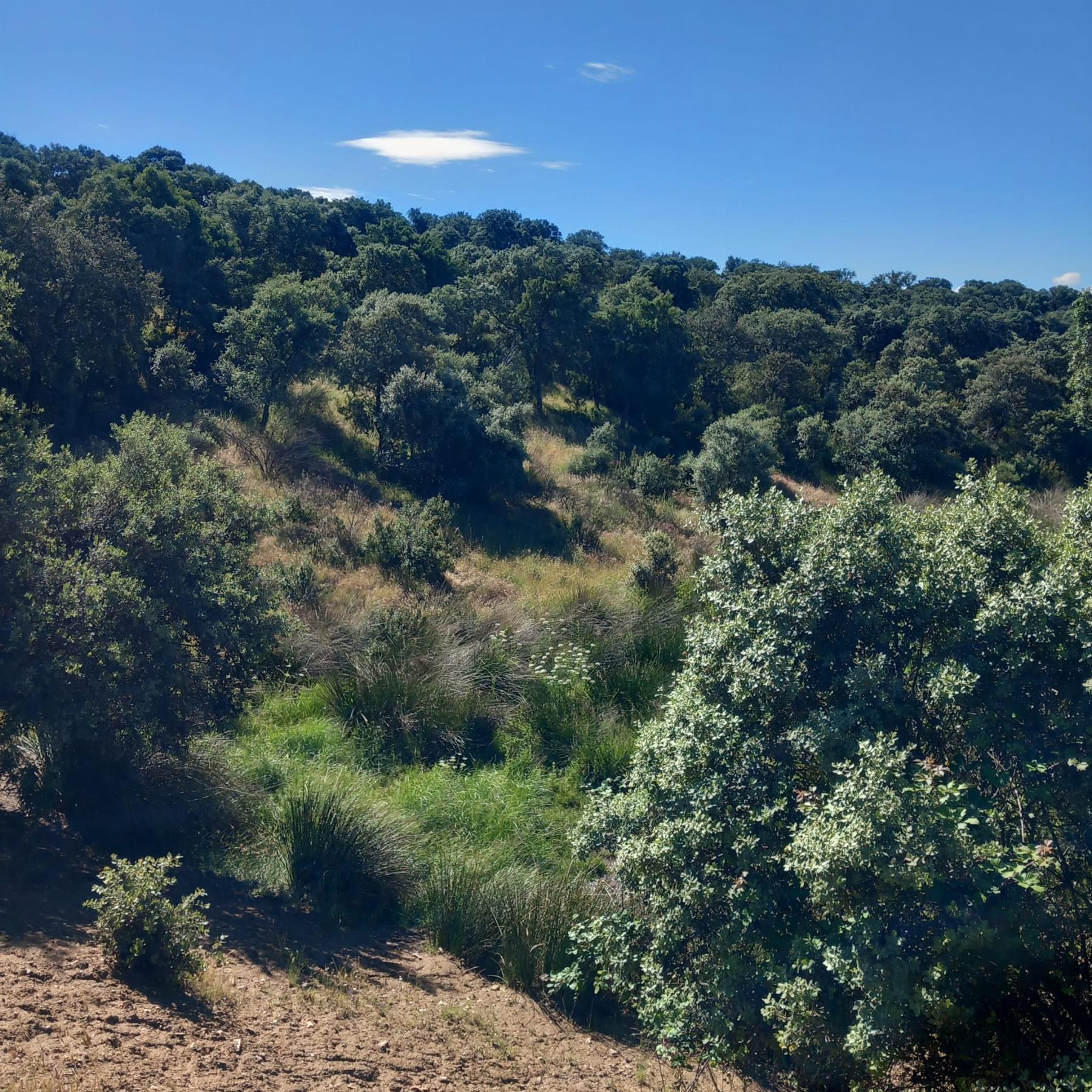 Venta de terreno en Madrid