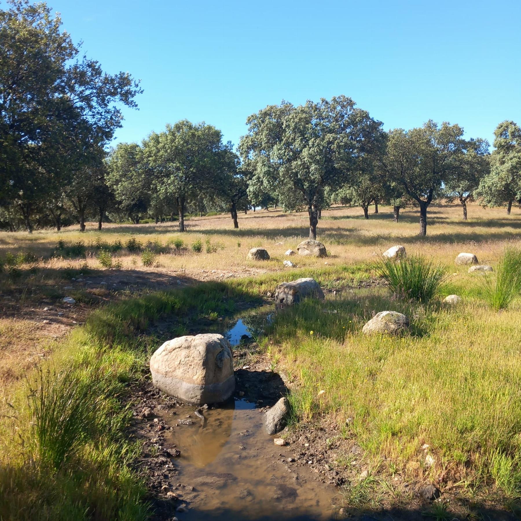 Venta de terreno en Madrid