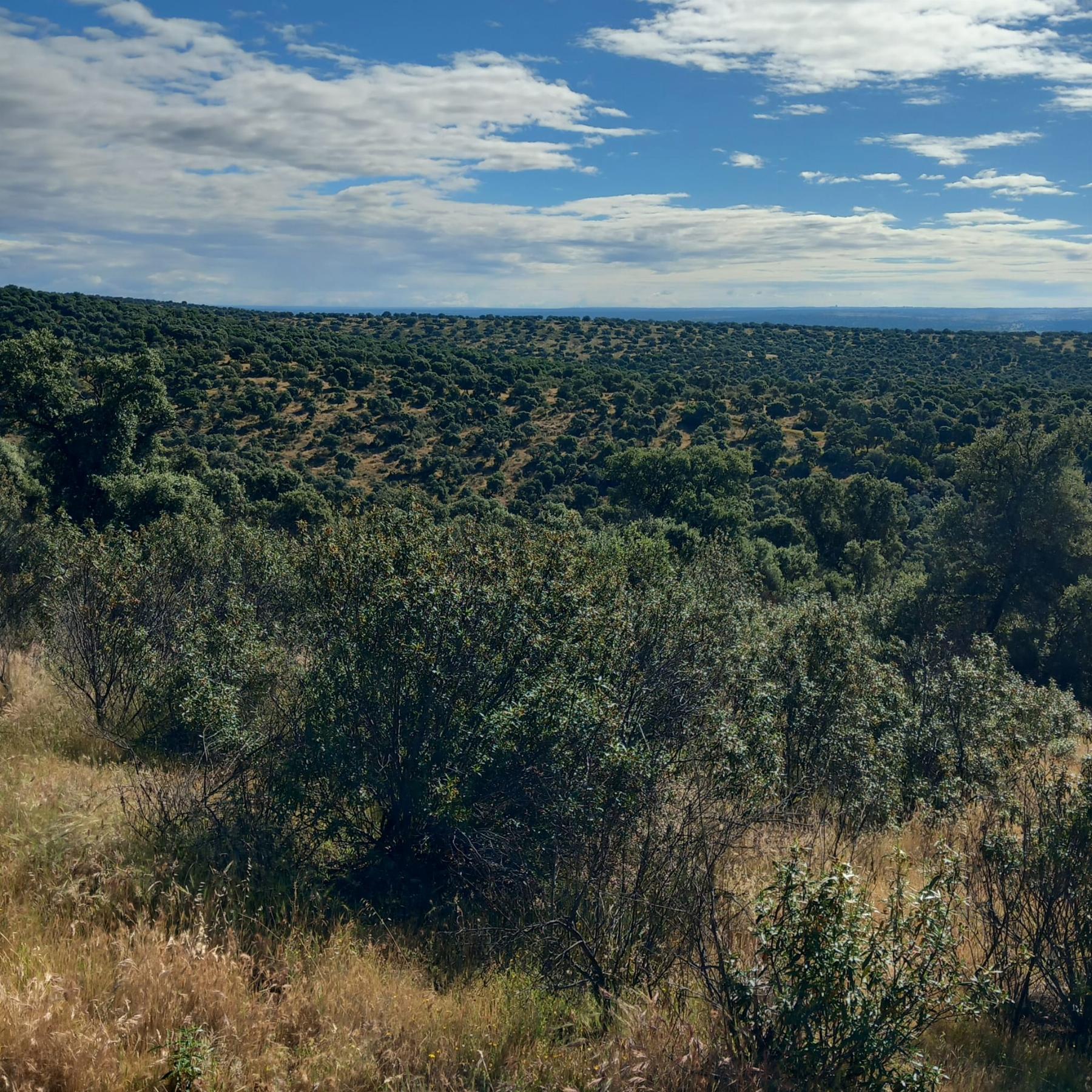 Venta de terreno en Madrid