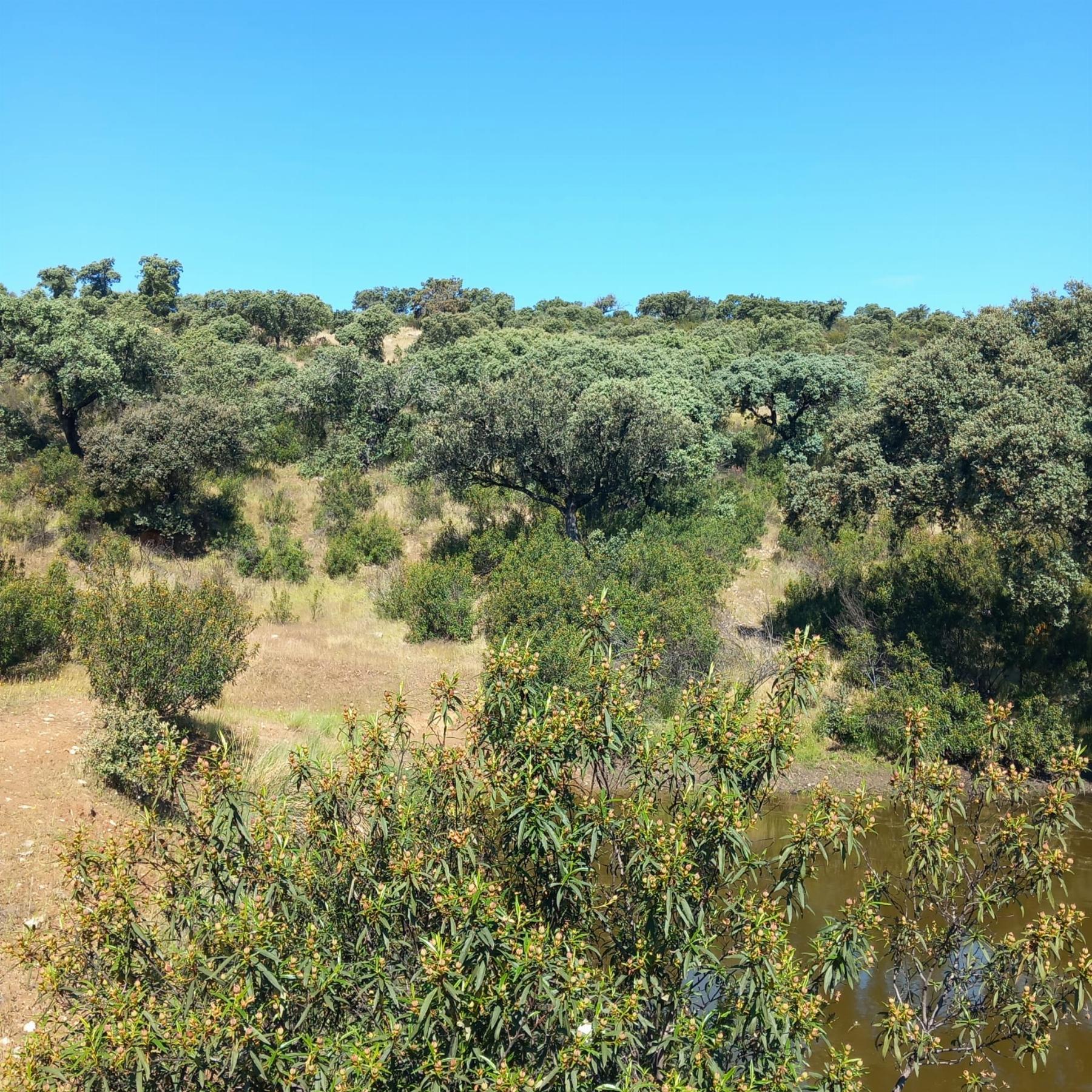 Venta de terreno en Madrid