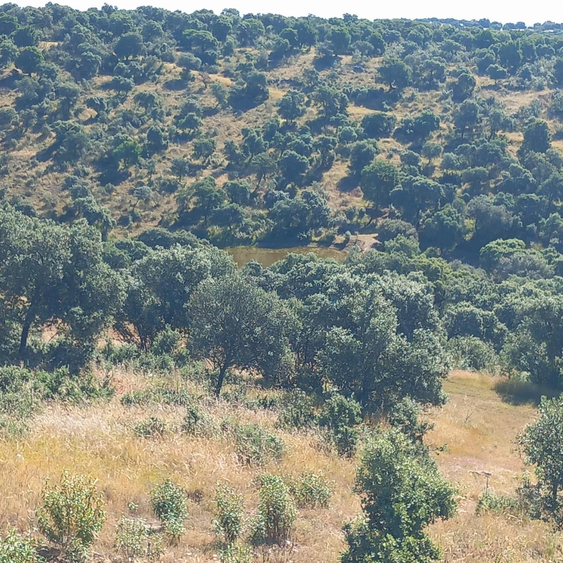 Venta de terreno en Madrid