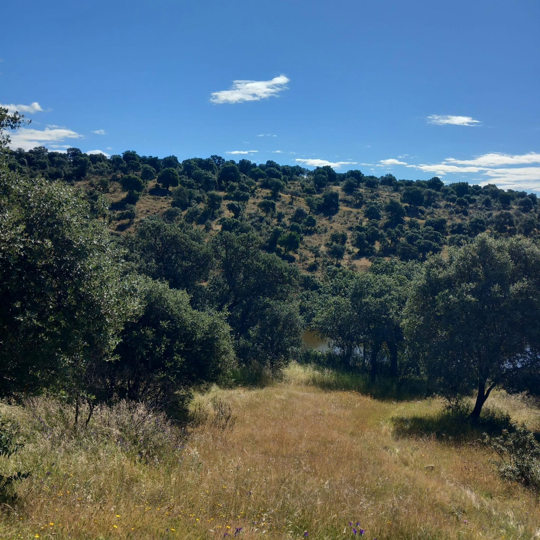 Venta de terreno en Madrid