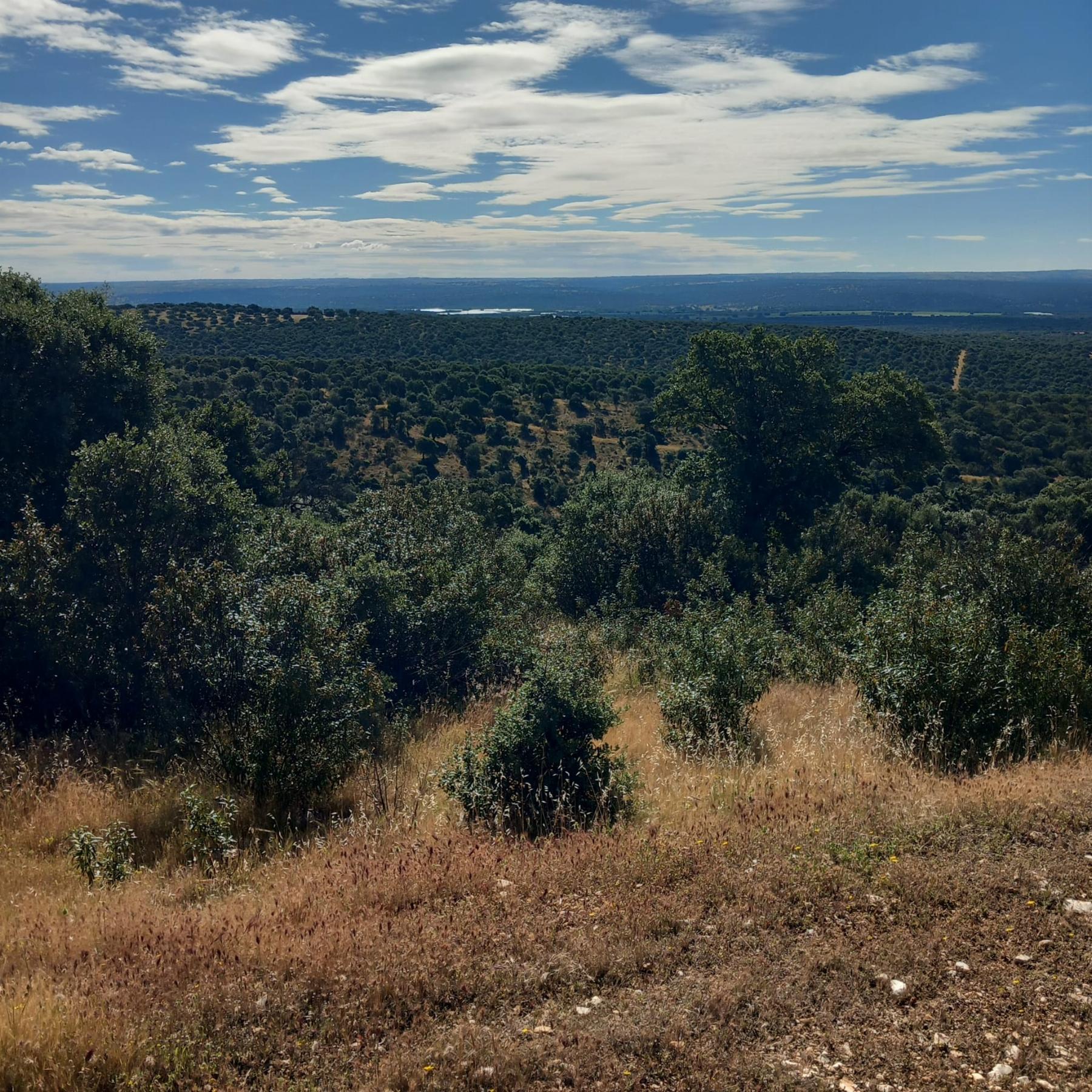 Venta de terreno en Madrid