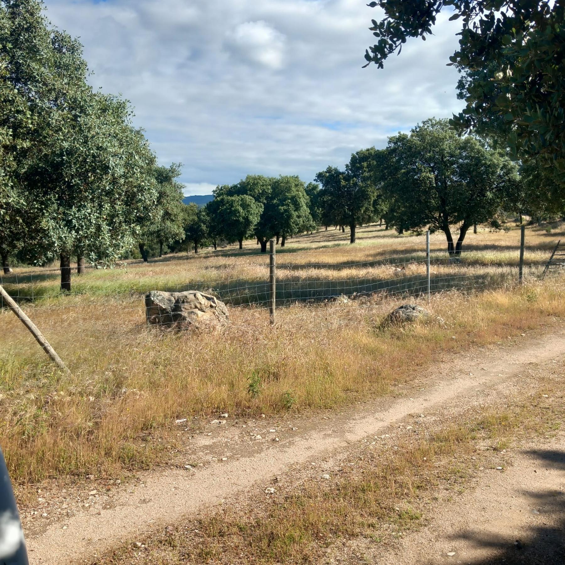 Venta de terreno en Madrid