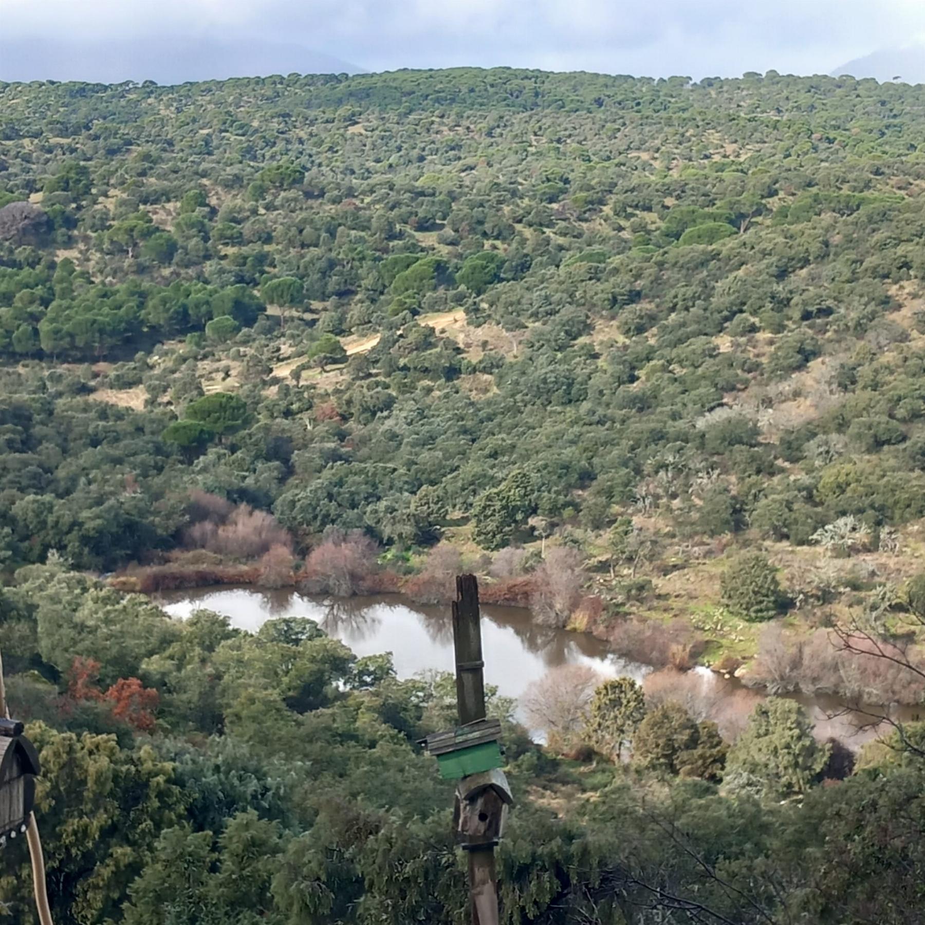 Venta de terreno en Madrid