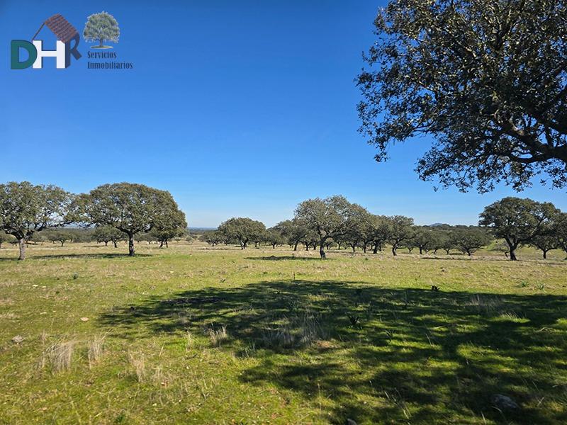 Venta de terreno en Cáceres