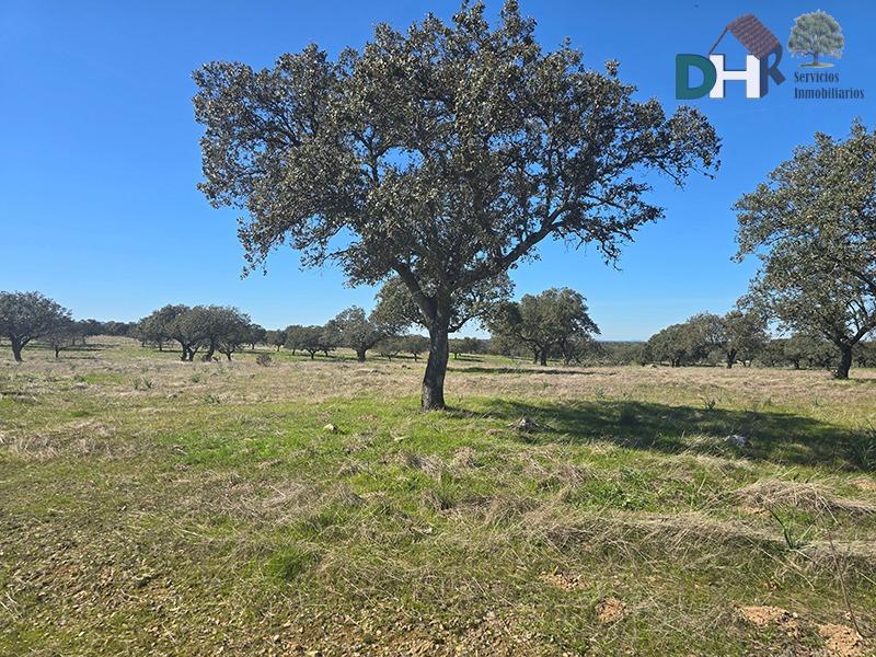 Venta de terreno en Cáceres