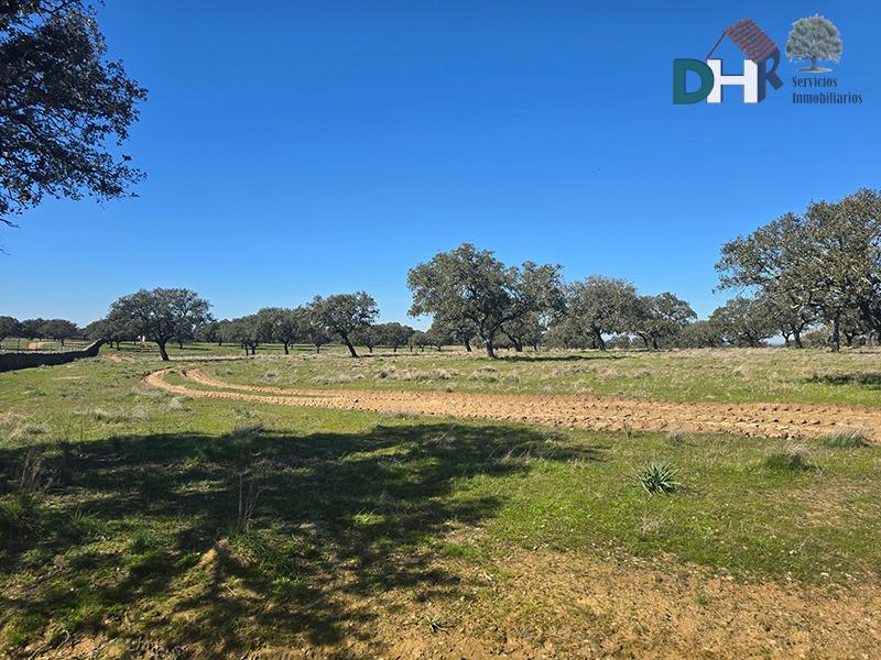 Venta de terreno en Cáceres