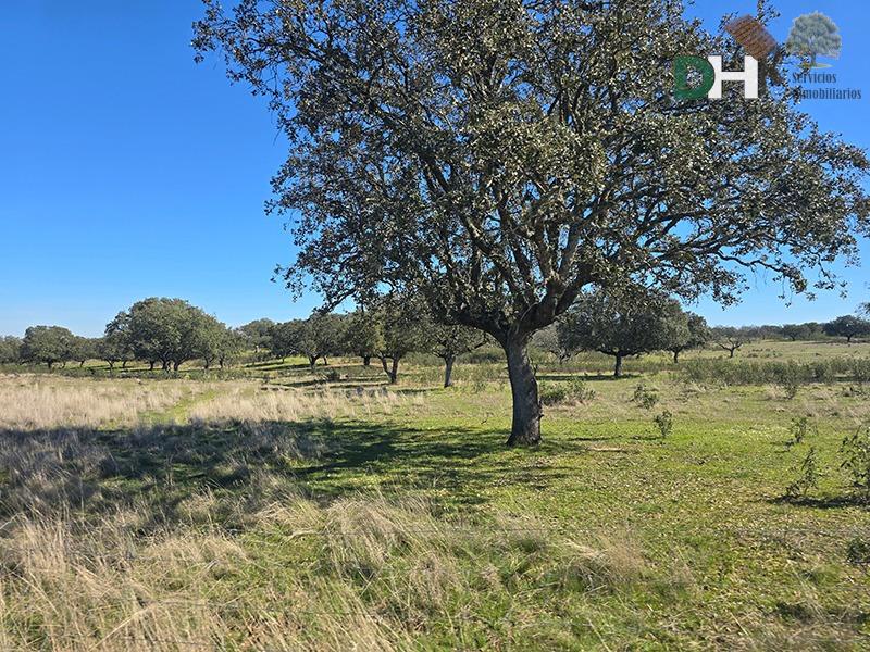 Venta de terreno en Cáceres