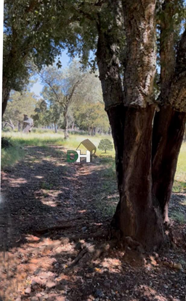 Venta de terreno en Badajoz