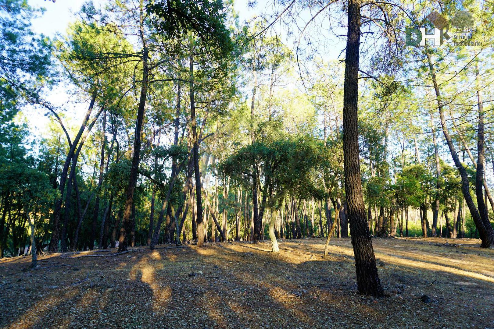 Venta de terreno en Badajoz