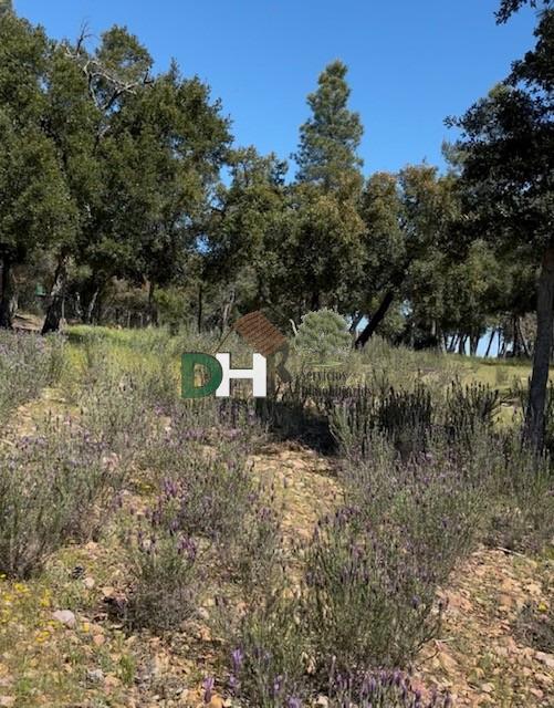 Venta de terreno en Badajoz