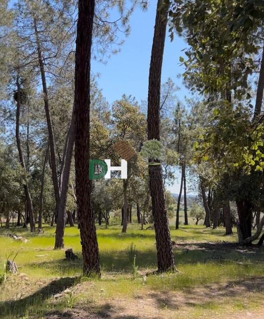 Venta de terreno en Badajoz