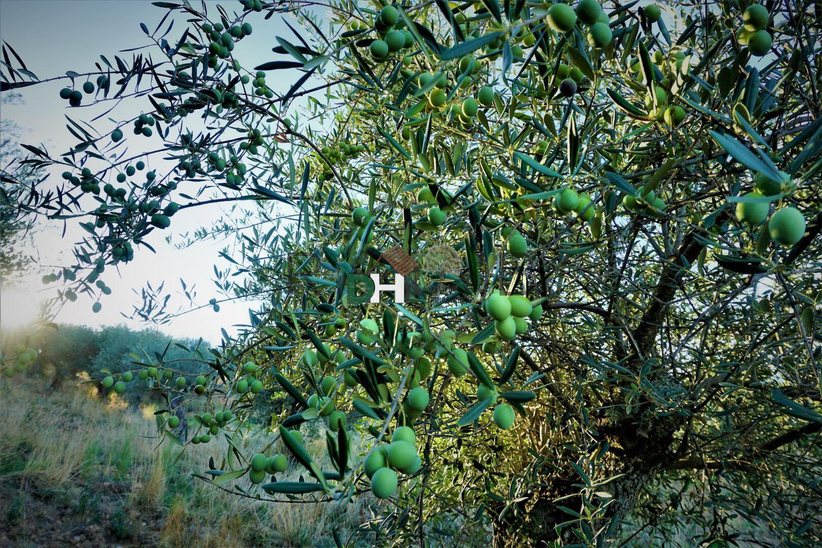 Venta de terreno en Badajoz