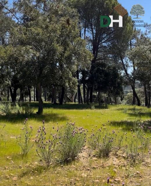 Venta de terreno en Badajoz