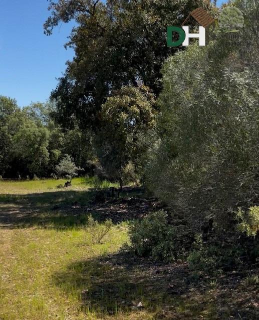 Venta de terreno en Badajoz