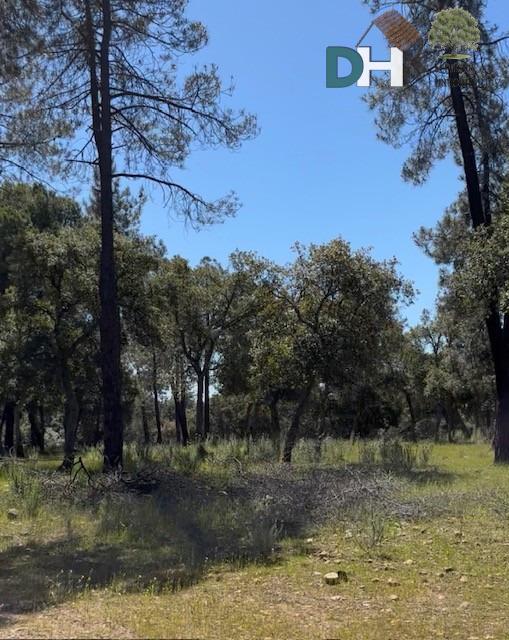 Venta de terreno en Badajoz