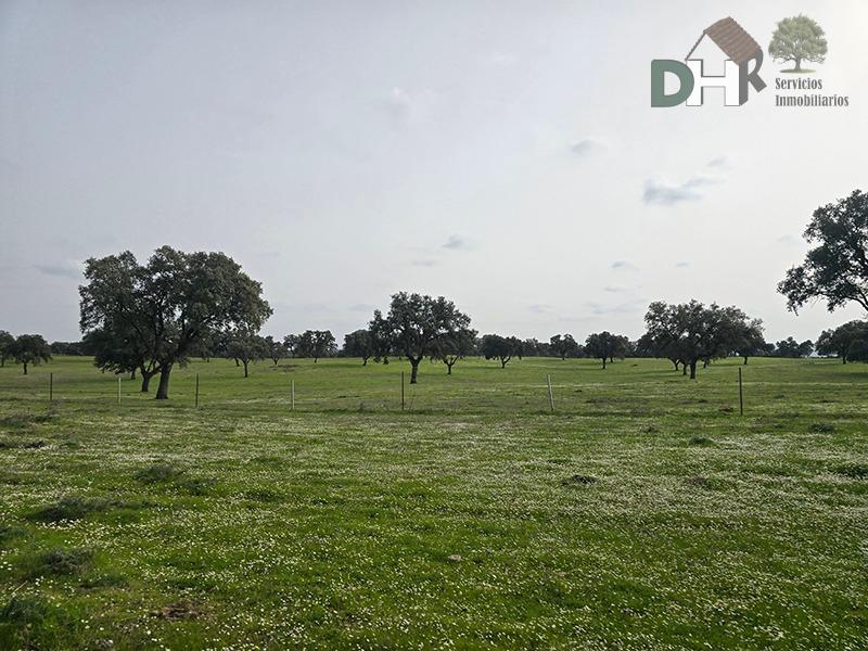 Venta de terreno en Cáceres