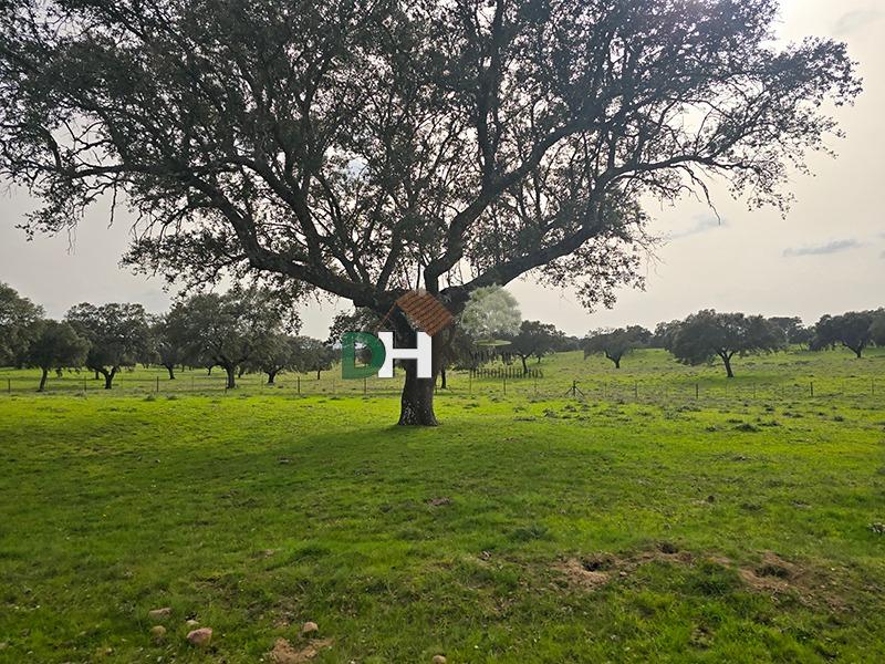 Venta de terreno en Cáceres