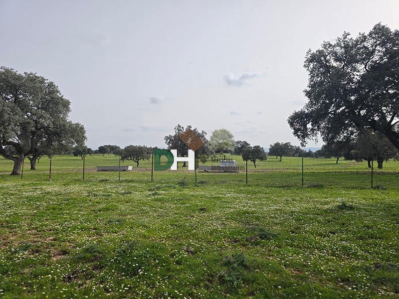 Venta de terreno en Cáceres