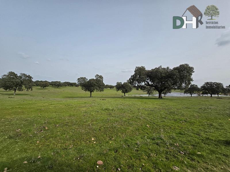 Venta de terreno en Cáceres